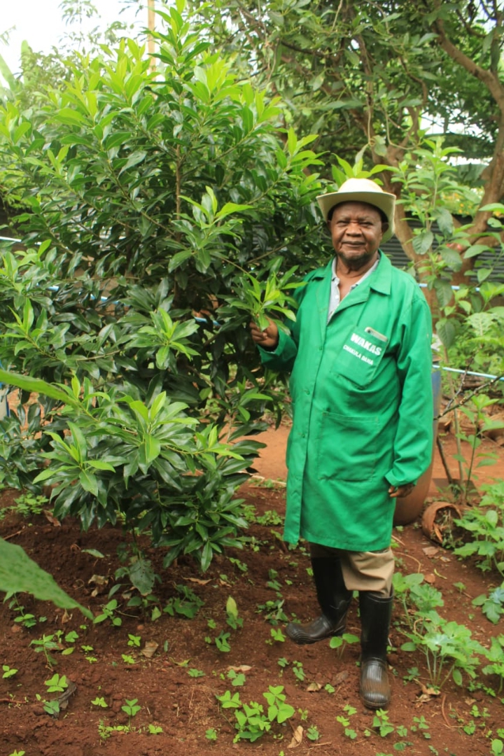 Organic farming Kenya